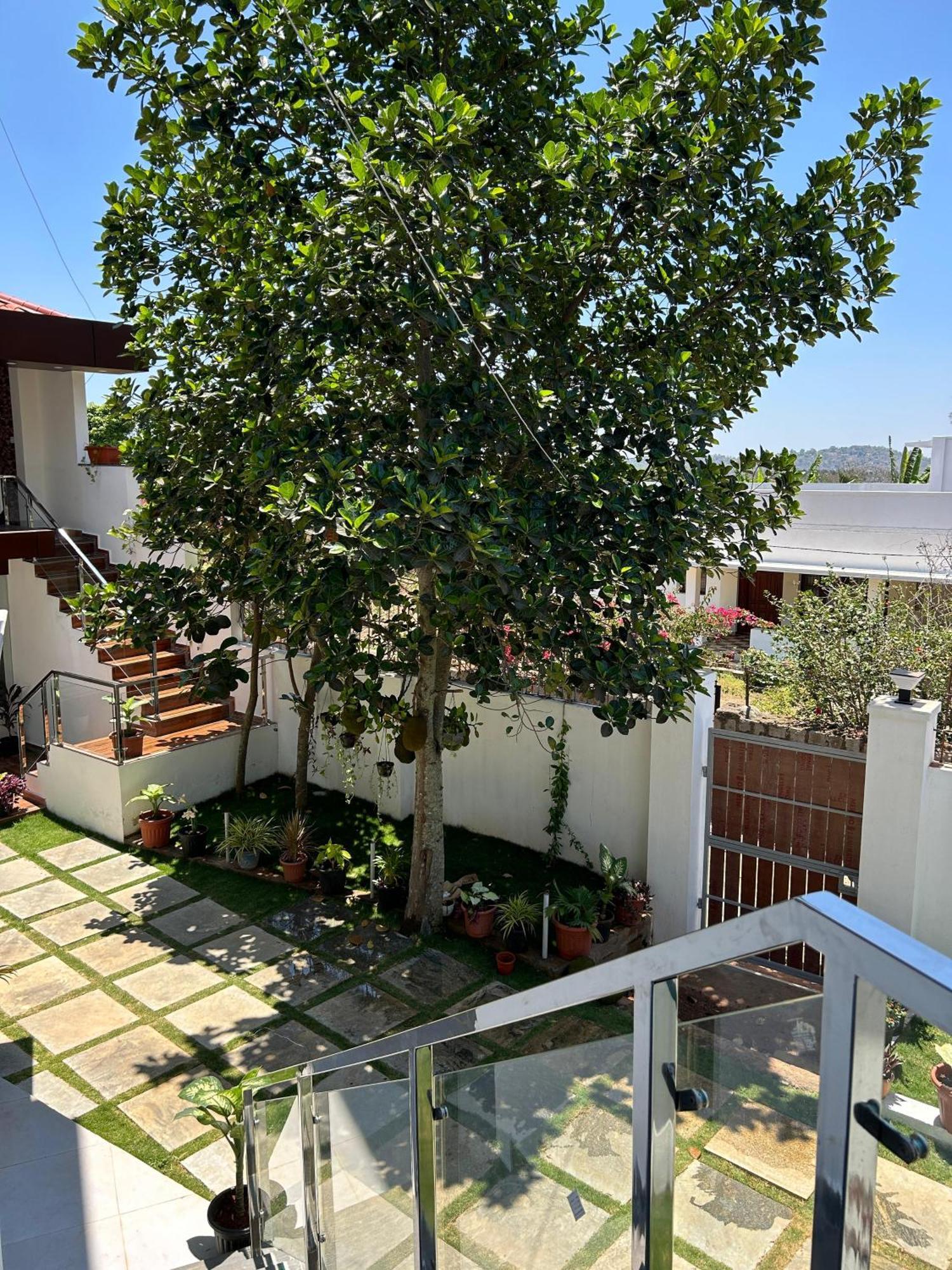 Sapphire Stayss Yelagiri Esterno foto